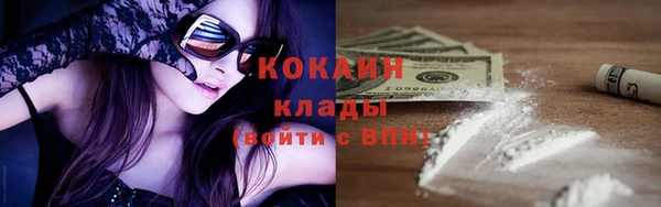 хмурый Дмитриев