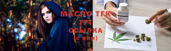 хмурый Дмитриев