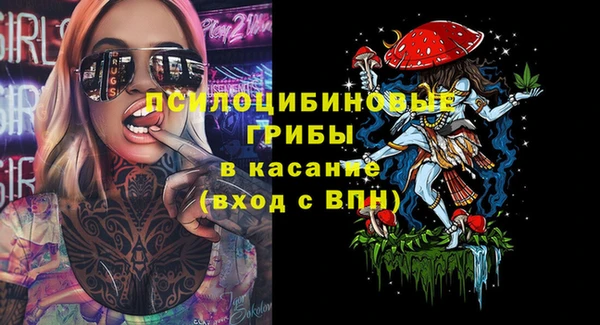 хмурый Дмитриев