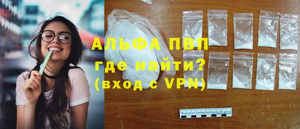 хмурый Дмитриев