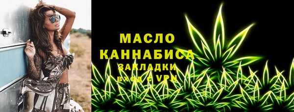 хмурый Дмитриев