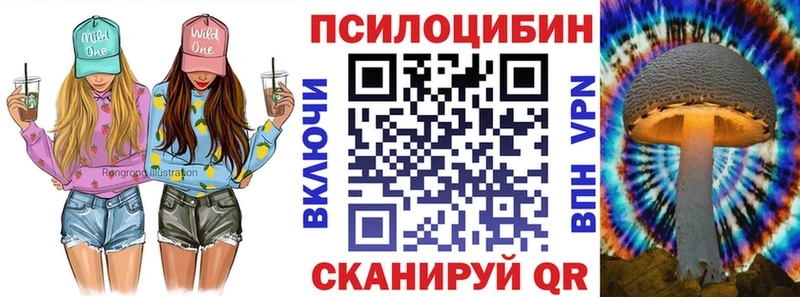 Псилоцибиновые грибы Psilocybe  Купить закладки  Слободской 